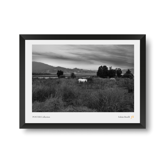 Poster: Lago Vichuquen. Vichuquen, Chile, Mayo 2023