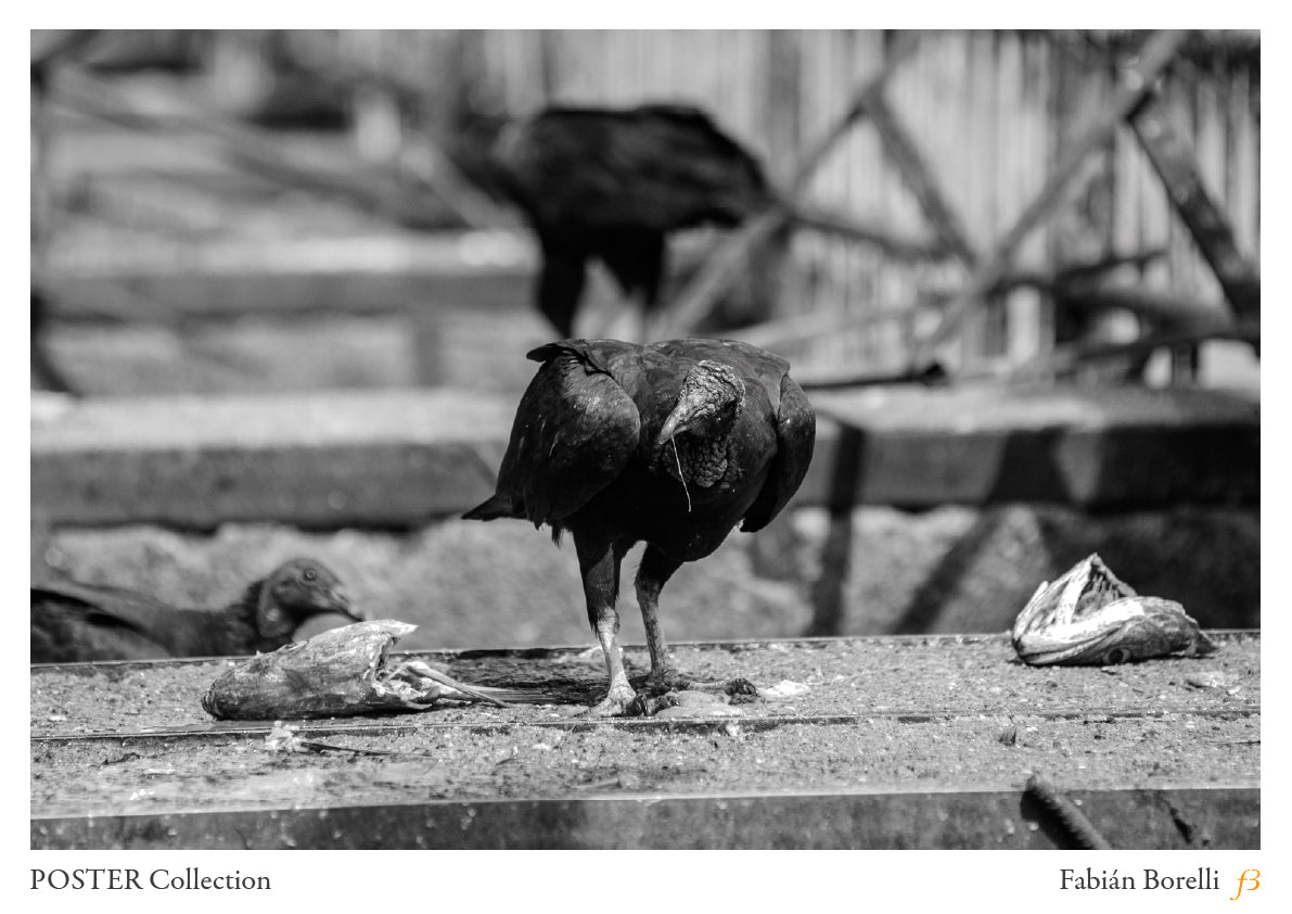 Reyes de lo que queda