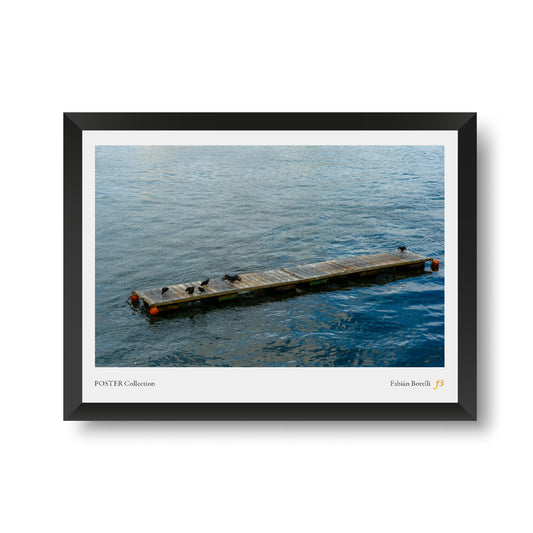 Poster: Río Valdivia. Valdivia, Chile, Marzo 2024