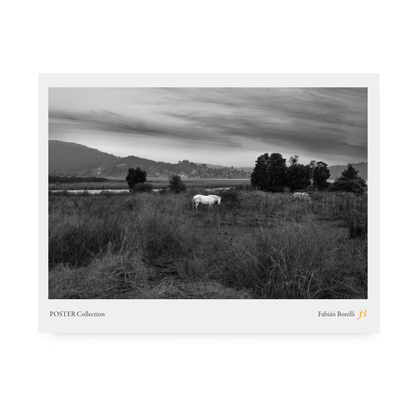 Poster: Lago Vichuquen. Vichuquen, Chile, Mayo 2023