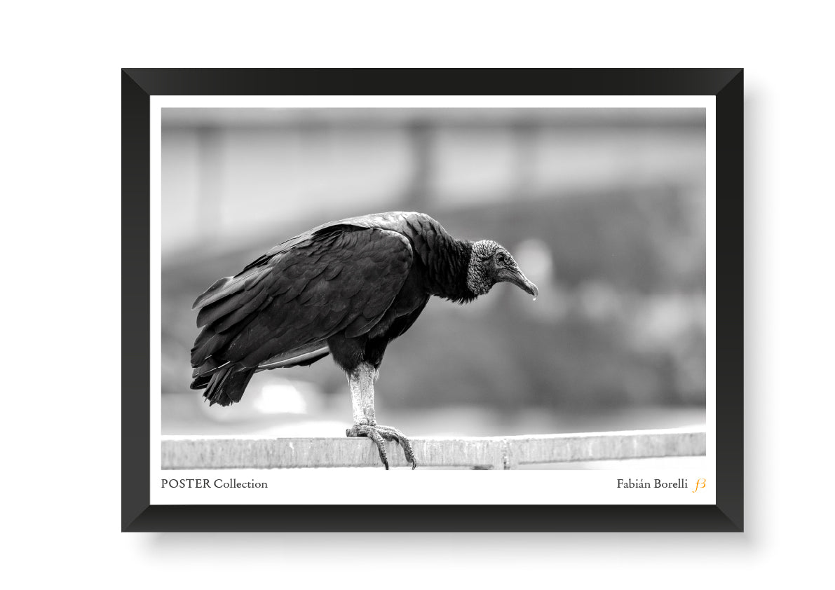 El Guardián del Muro