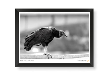 El Guardián del Muro