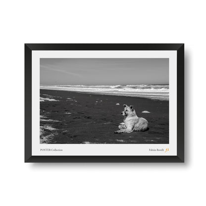 Poster: Iloca. Curicó, Chile, Febrero 2023