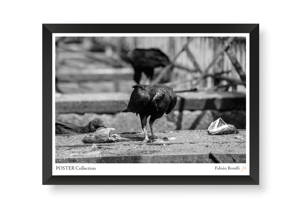 Reyes de lo que queda