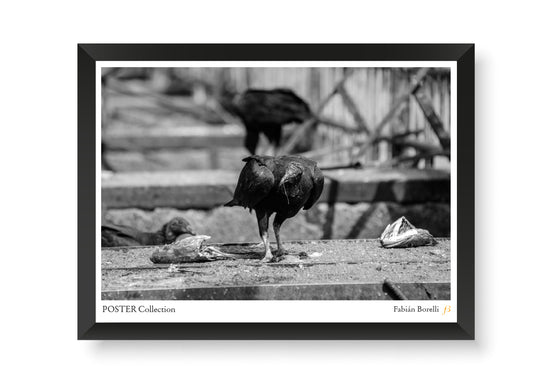 Reyes de lo que queda